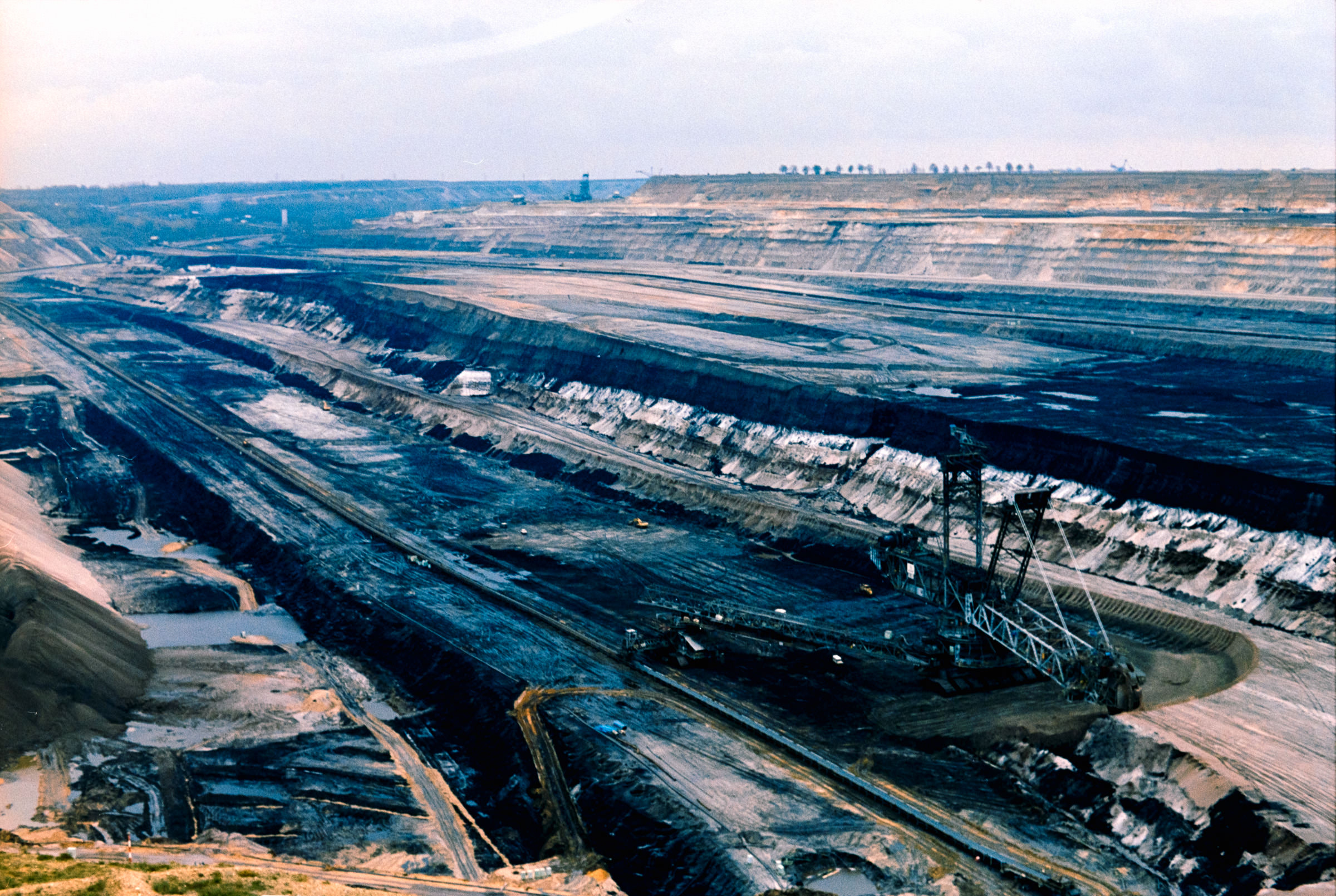 AHP film 2004 11 002 sc240828 img07 NLP